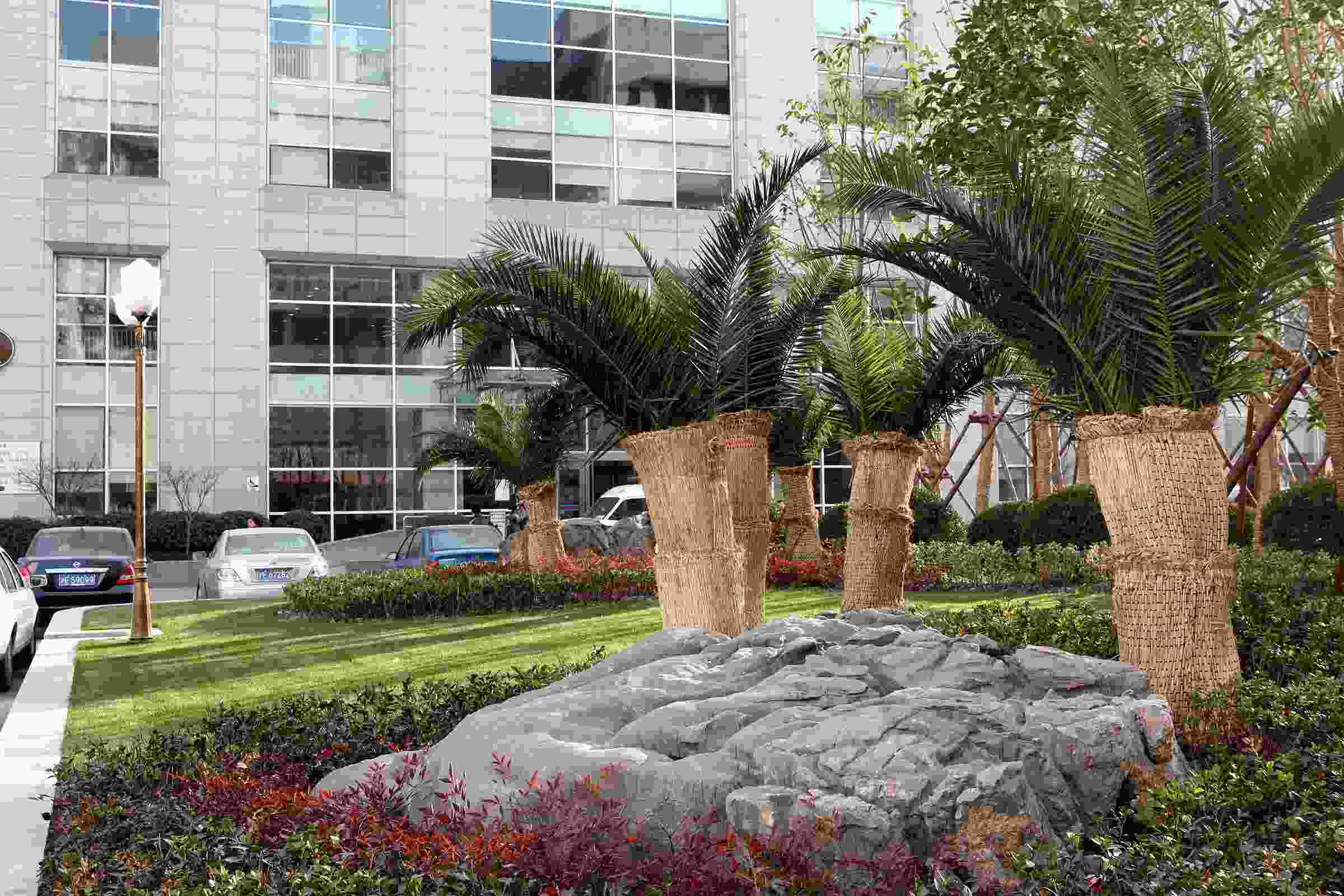 SJTU Ninth Hospital overview image 3